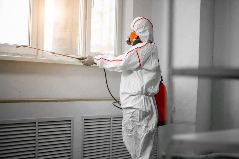 Professional mold remediation services in New Baltimore, MI